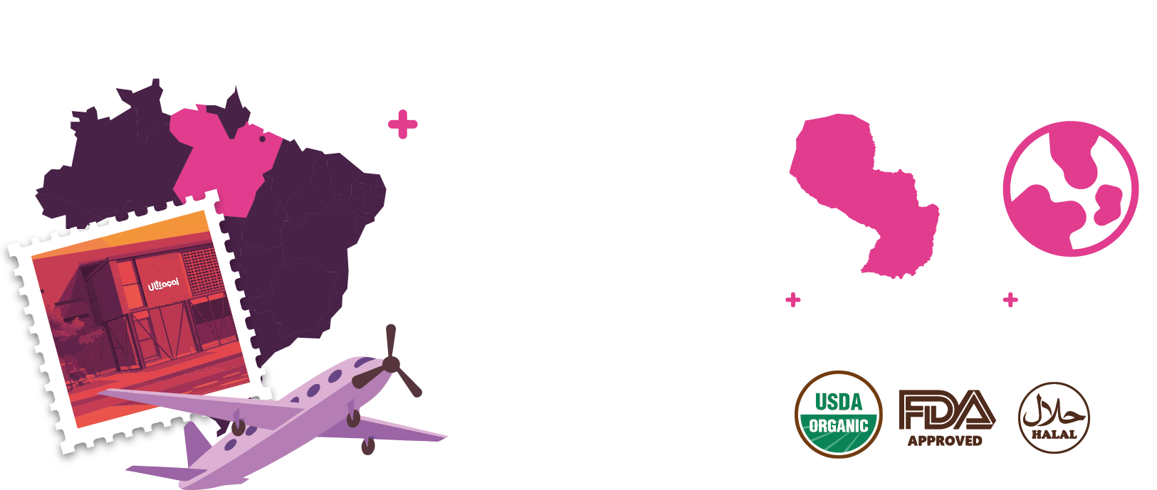 Nuestra pulpa de fruta viene desde Belém do Pará