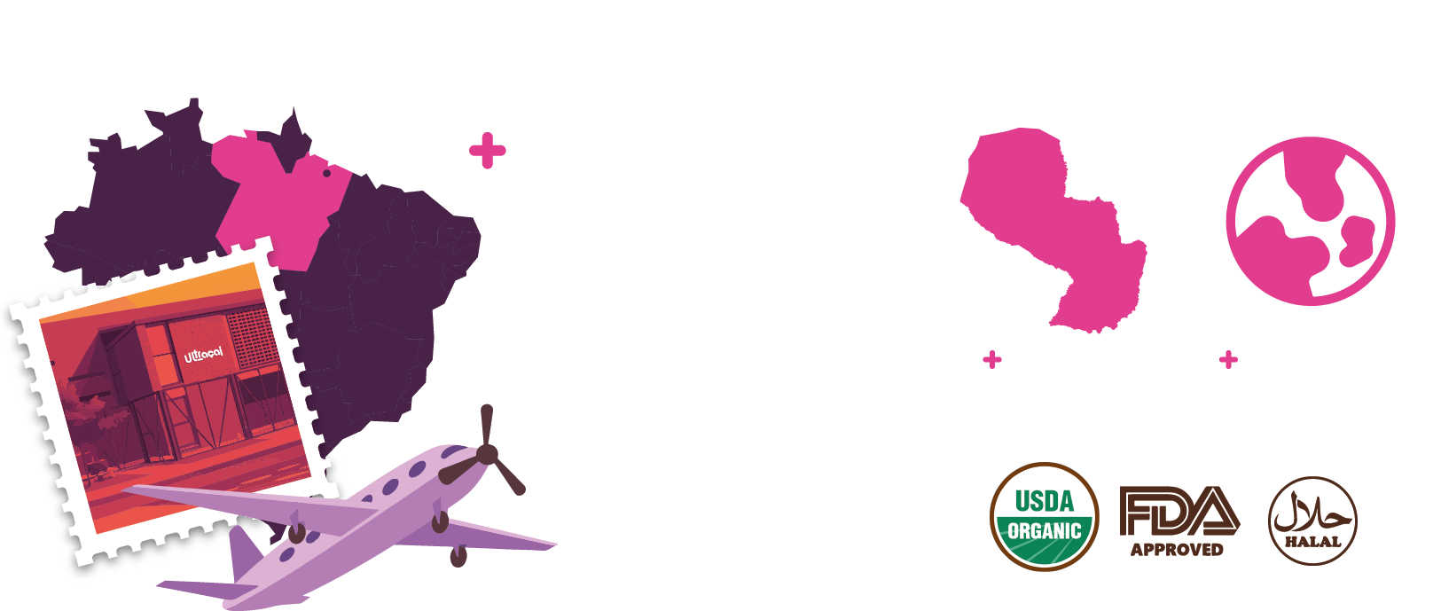 Nuestra pulpa de fruta viene desde Belém do Pará